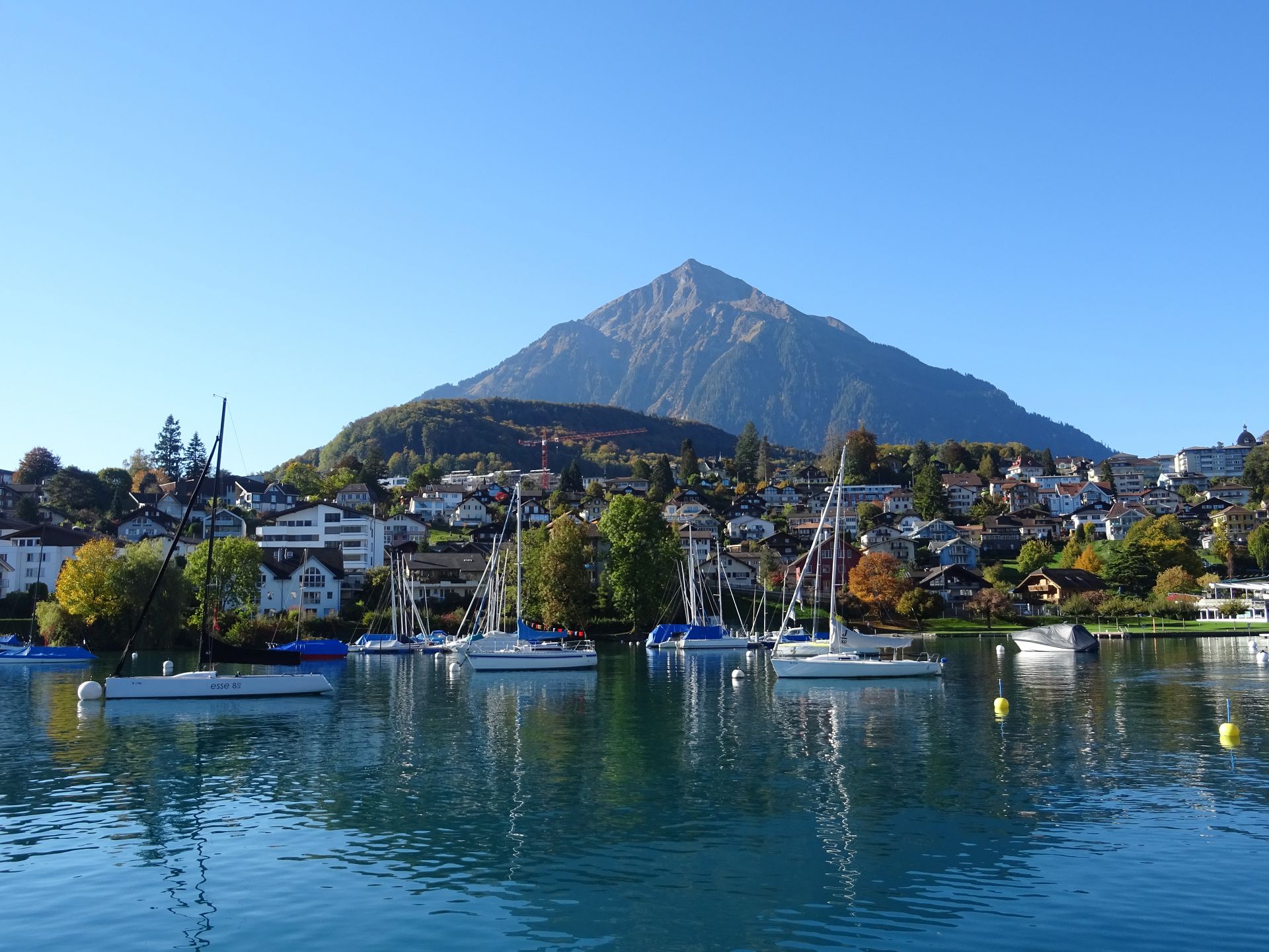 Spiez